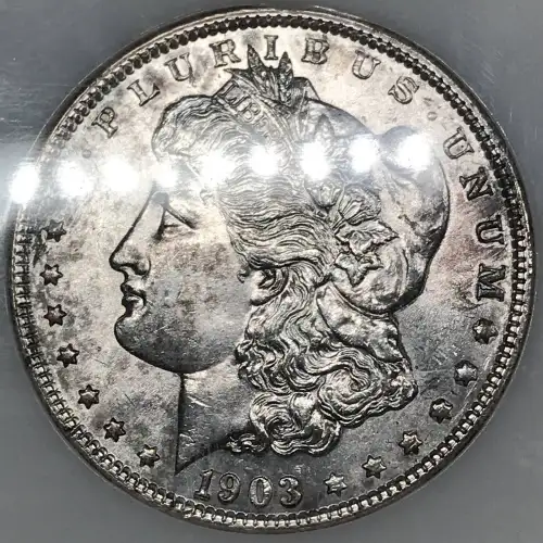 Morgan Silver Dollar (4)