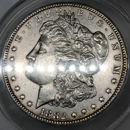 Morgan Silver Dollar (4)