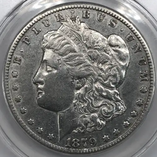 Morgan Silver Dollar (4)
