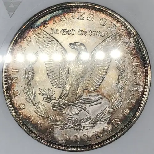 Morgan Silver Dollar (5)