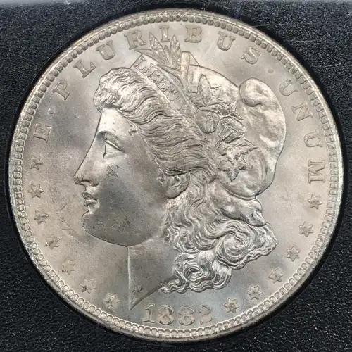 Morgan Silver Dollar (2)