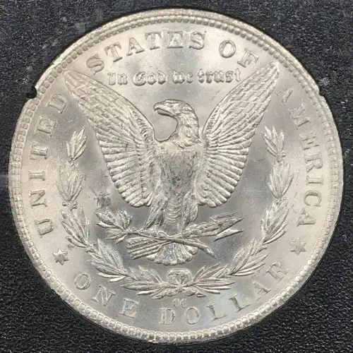 Morgan Silver Dollar (4)