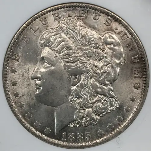 Morgan Silver Dollar (2)
