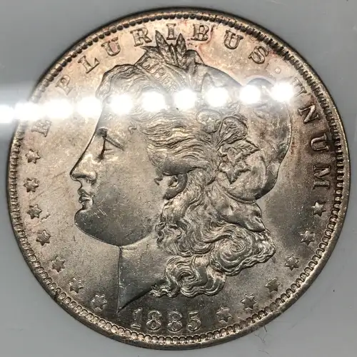 Morgan Silver Dollar (4)