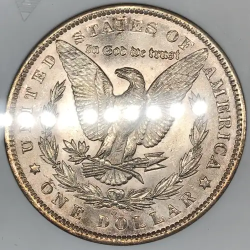 Morgan Silver Dollar (5)