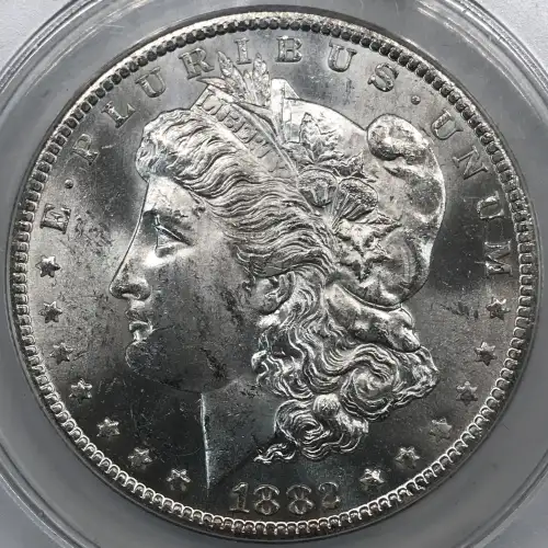 Morgan Silver Dollar (2)