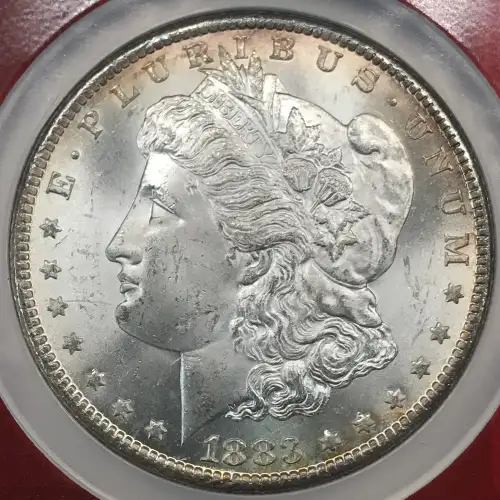 Morgan Silver Dollar (2)