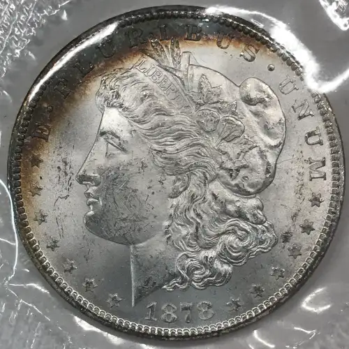 Morgan Silver Dollar (2)