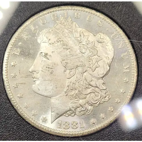 Morgan Silver Dollar (4)