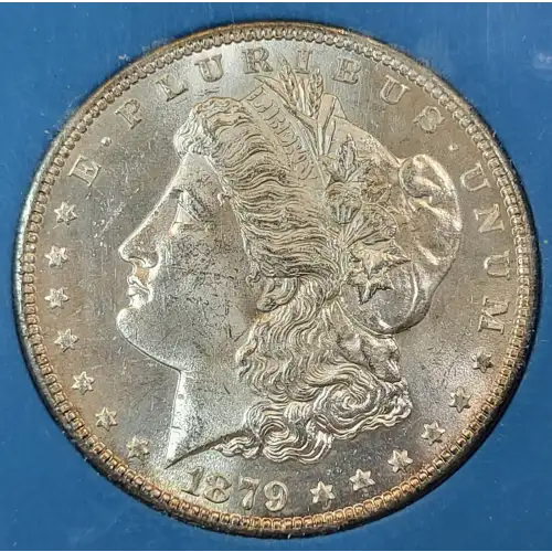 Morgan Silver Dollar (2)