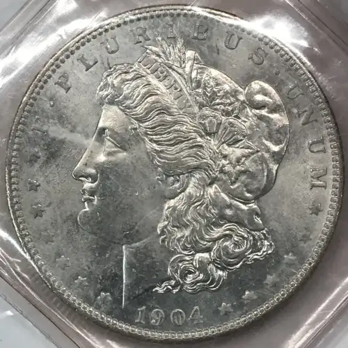 Morgan Silver Dollar (4)