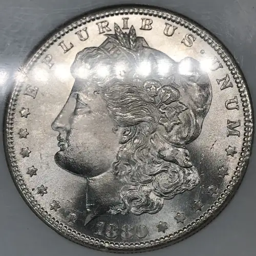 Morgan Silver Dollar (8)