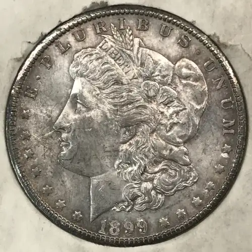 Morgan Silver Dollar (3)