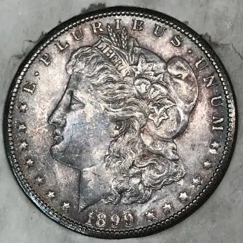 Morgan Silver Dollar (7)