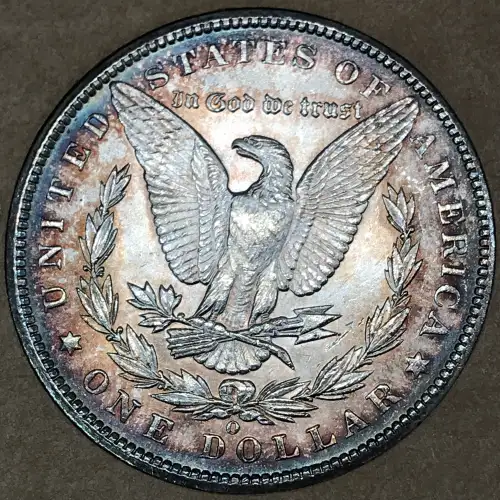 Morgan Silver Dollar (5)