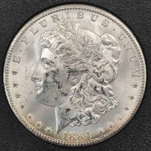 Morgan Silver Dollar (2)
