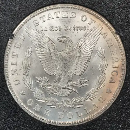 Morgan Silver Dollar (4)