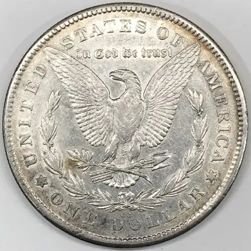 Morgan Silver Dollar (2)