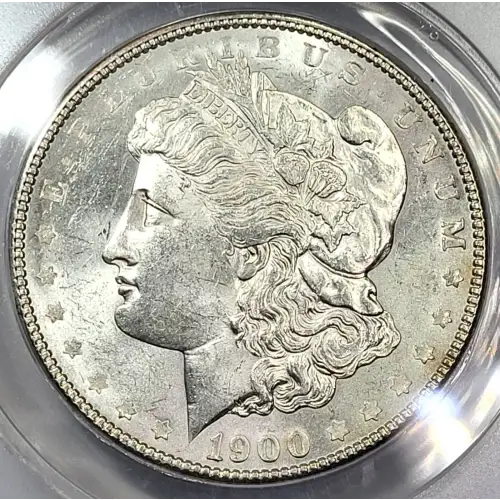 Morgan Silver Dollar (2)