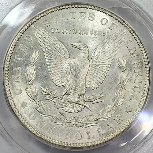 Morgan Silver Dollar (5)