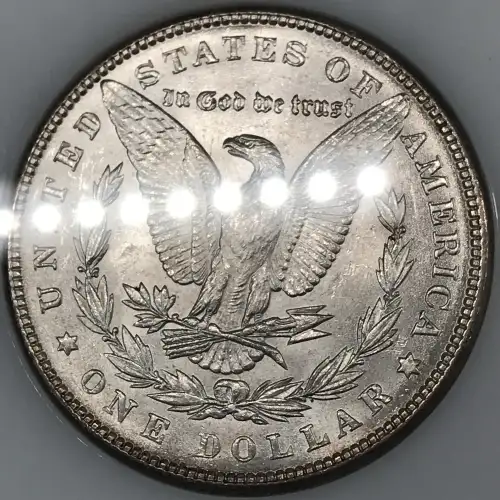 Morgan Silver Dollar (4)