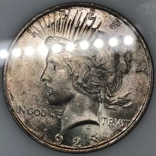 Morgan Silver Dollar (7)