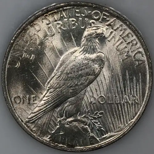 Morgan Silver Dollar (9)
