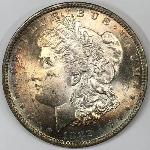 Morgan Silver Dollar (2)