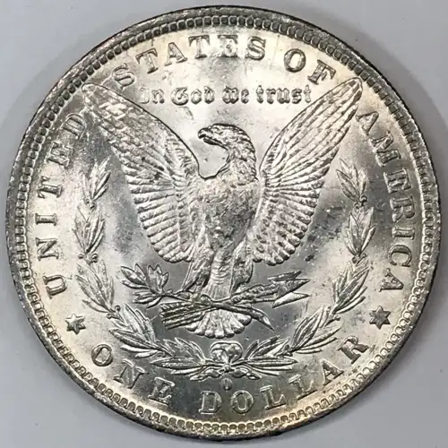 Morgan Silver Dollar (7)