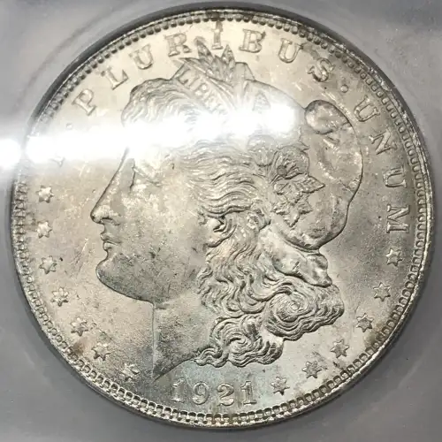 Morgan Silver Dollar (4)