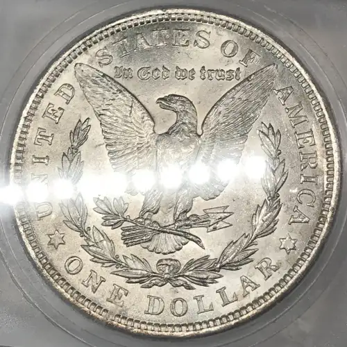 Morgan Silver Dollar (5)