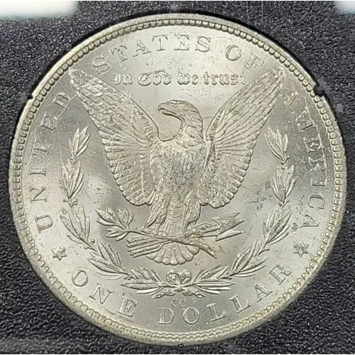 Morgan Silver Dollar (4)