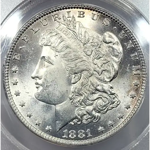 Morgan Silver Dollar (2)