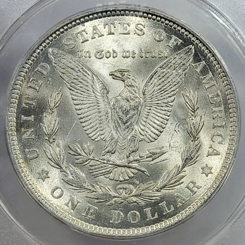 Morgan Silver Dollar (4)