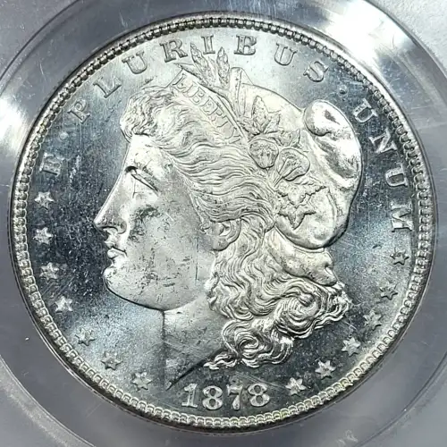Morgan Silver Dollar (2)