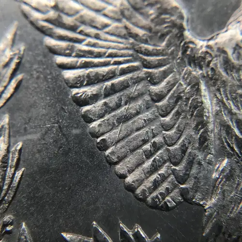 Morgan Silver Dollar (5)