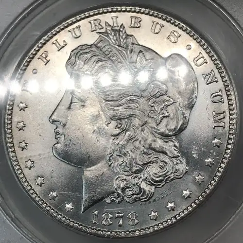 Morgan Silver Dollar (7)