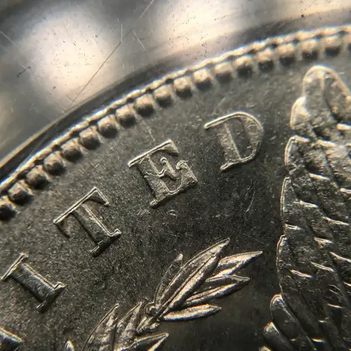 Morgan Silver Dollar (8)