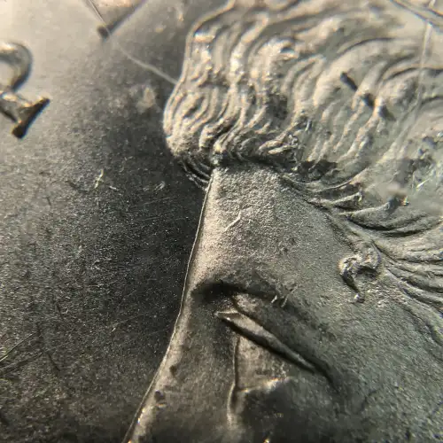 Morgan Silver Dollar (9)