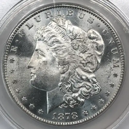 Morgan Silver Dollar (4)