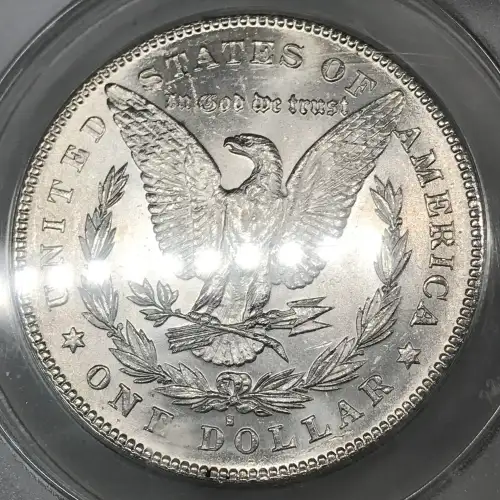 Morgan Silver Dollar (2)