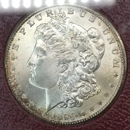 Morgan Silver Dollar (4)