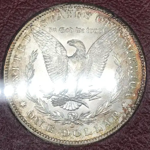 Morgan Silver Dollar (5)