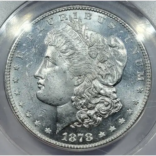 Morgan Silver Dollar (2)