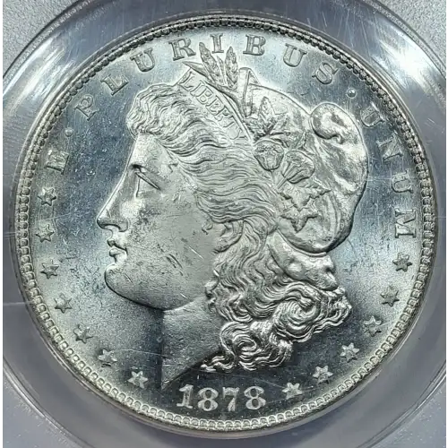 Morgan Silver Dollar (2)
