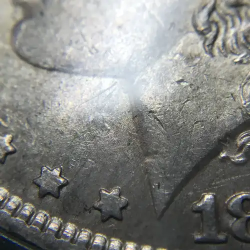 Morgan Silver Dollar (5)