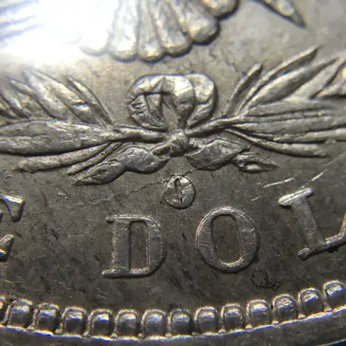 Morgan Silver Dollar (6)