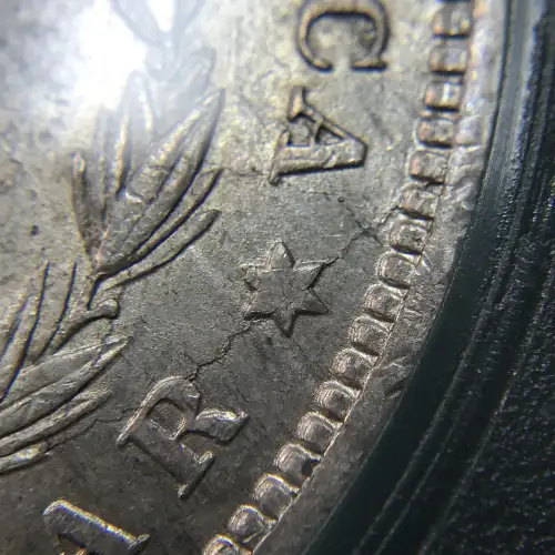 Morgan Silver Dollar (7)