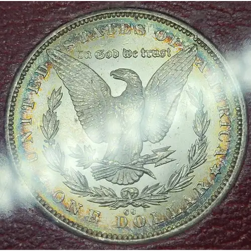 Morgan Silver Dollar (4)
