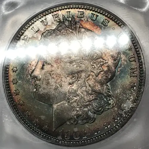 Morgan Silver Dollar (4)